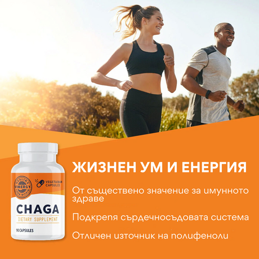 Органична чага, екстракт, 90 капсули, Vimergy®