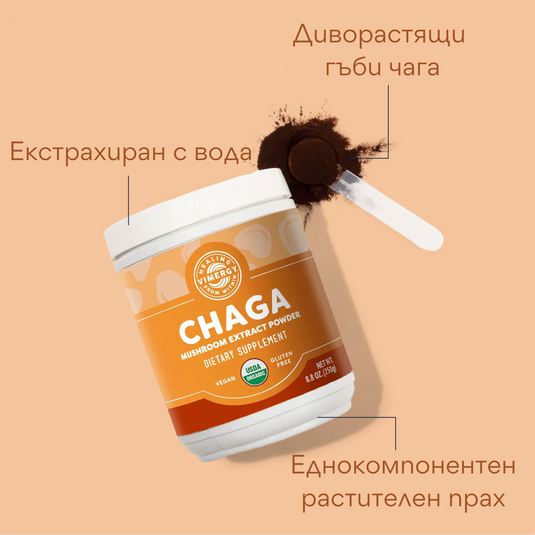 Βιολογικό Chaga, εκχύλισμα, 50 g. / 250 g.